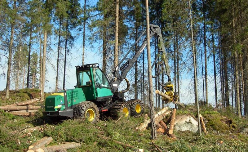 En moderne skogsmaskin med gripeklo løfter en kvistet tømmerstokk i skogen. Foto.