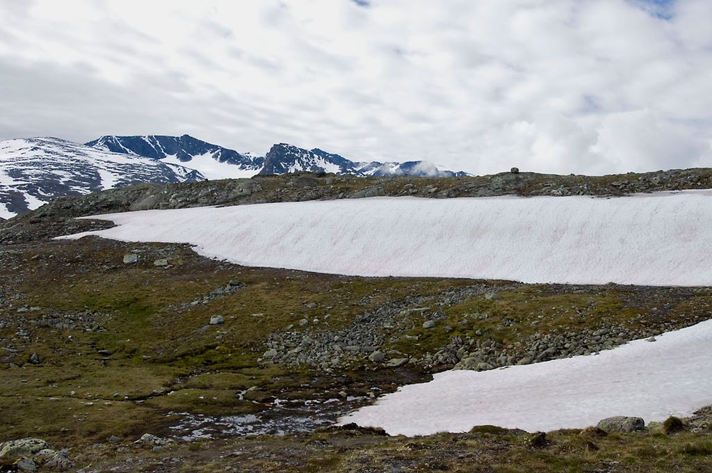 Fjellandskap med snø. Foto