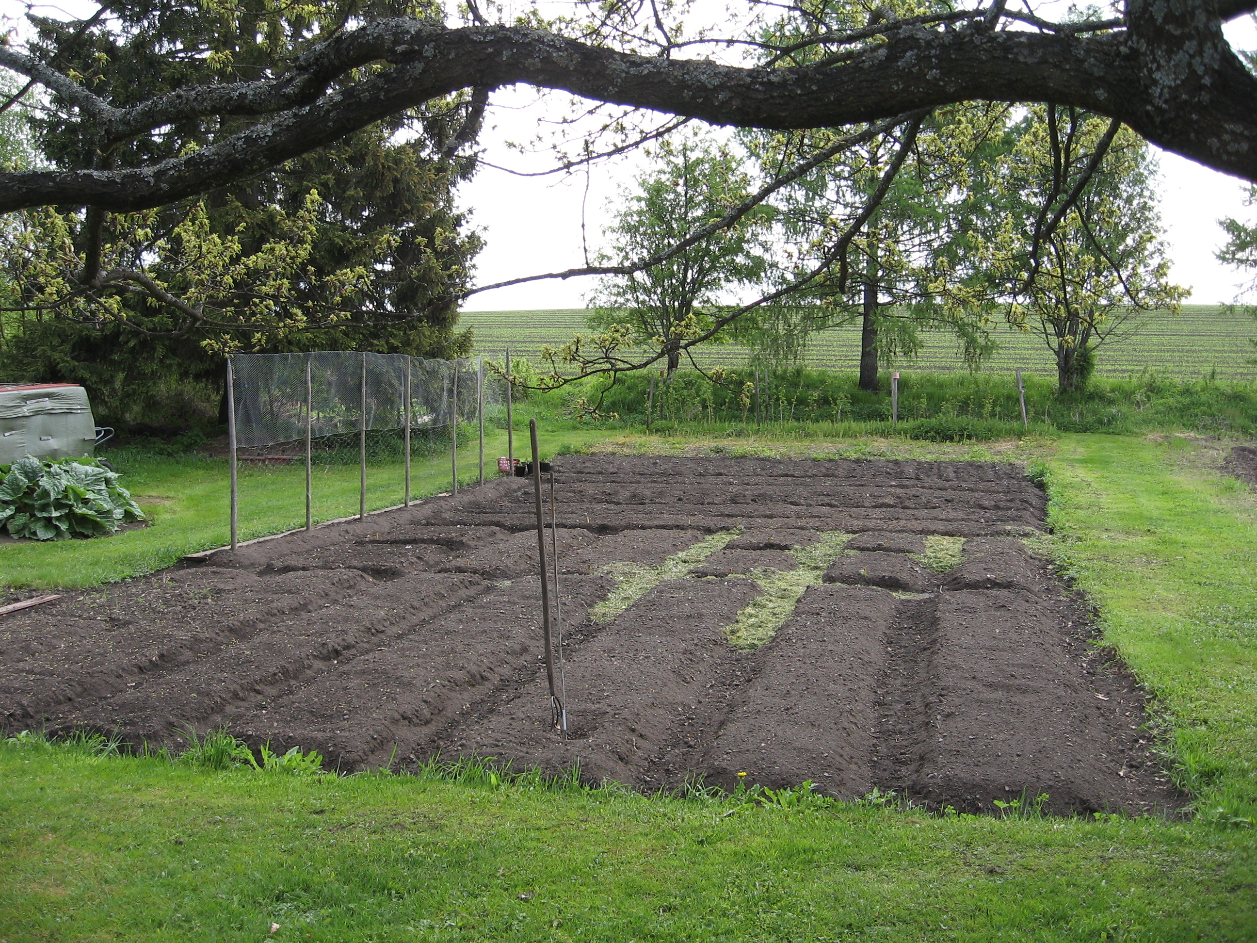 Bed med jord gjort klar til dyrking. Foto.