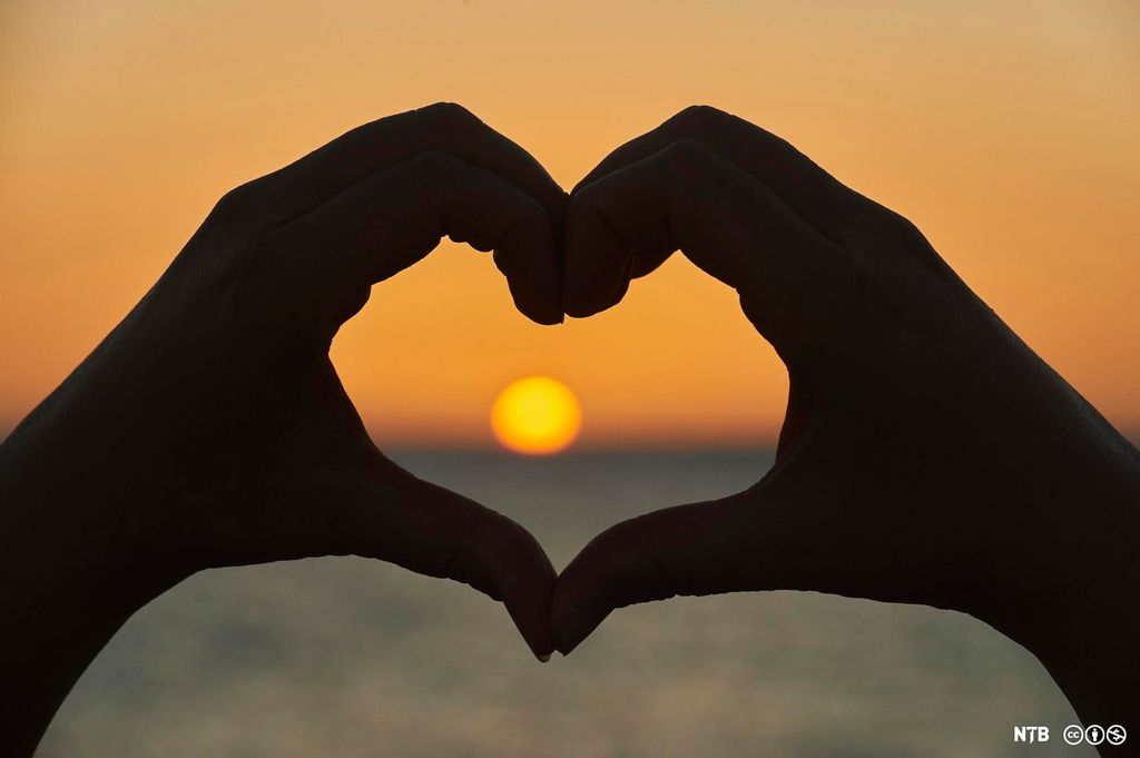 Gïeth mah vaajmoem hammoedieh iehkedhs-vælloen. Guvvie.