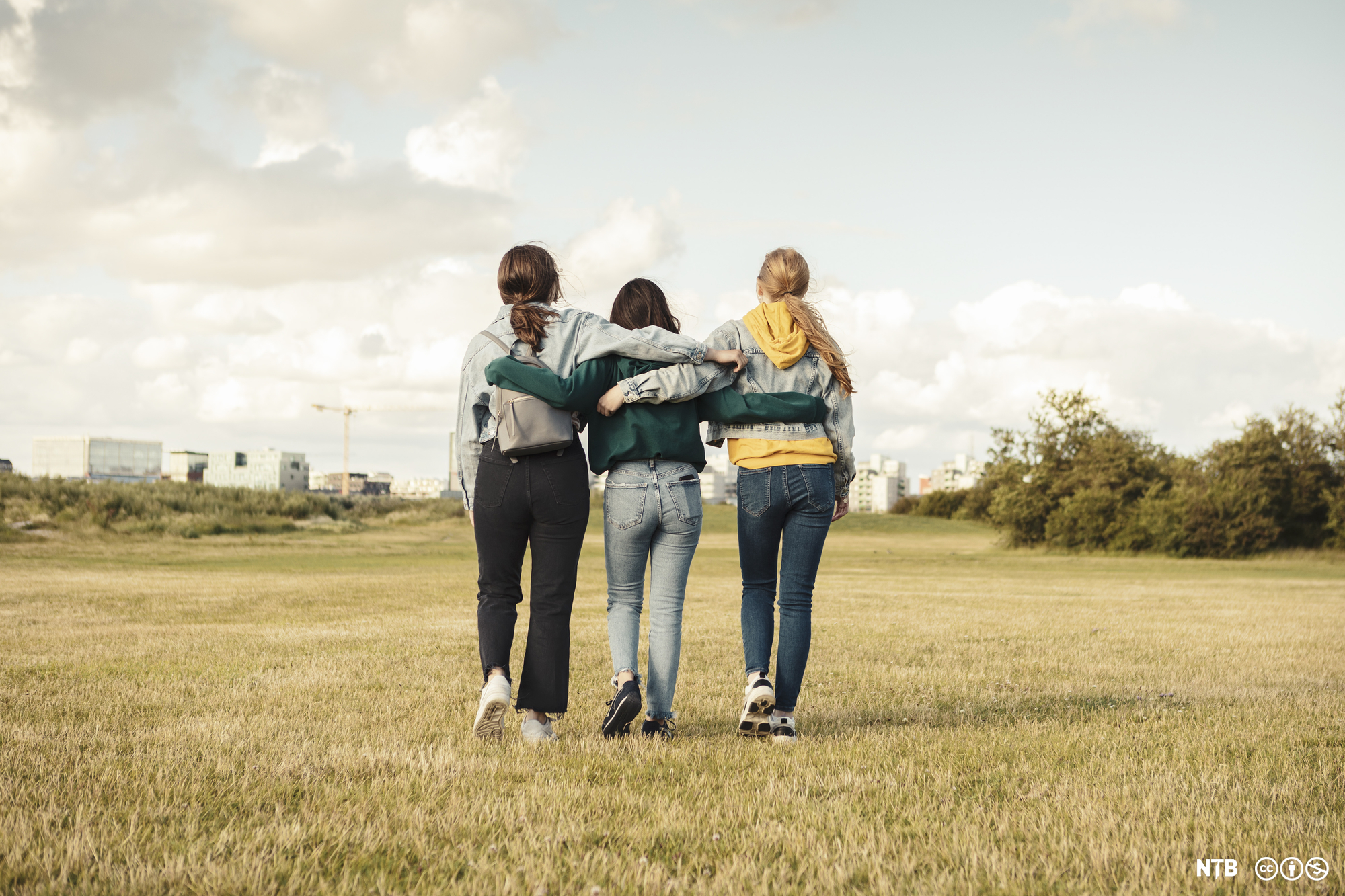 Photo: Rear view of three female friends with arms around walking in park.