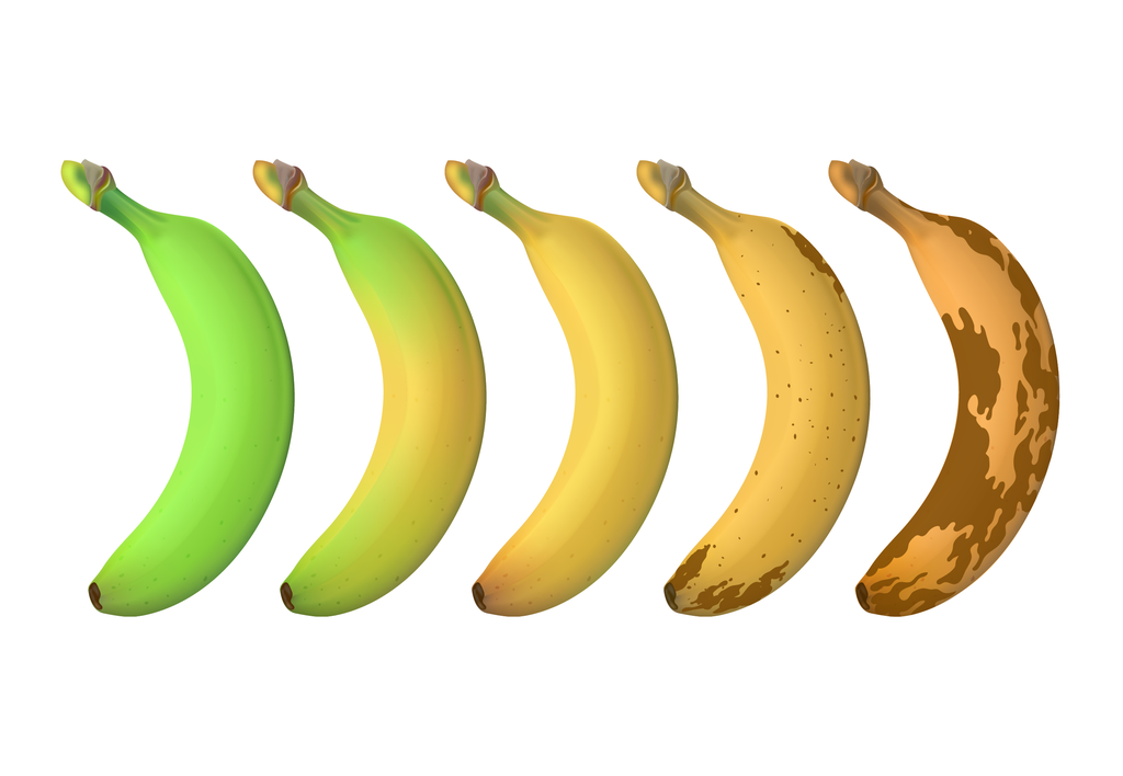 Fem bananer i ulike modningsstadier, fra grønn til brun. Illustrasjon.