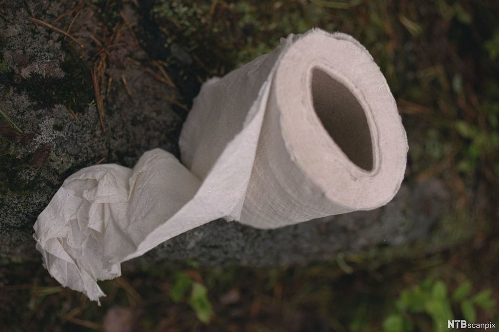 Ein dorull står oppå ein stein. Foto.