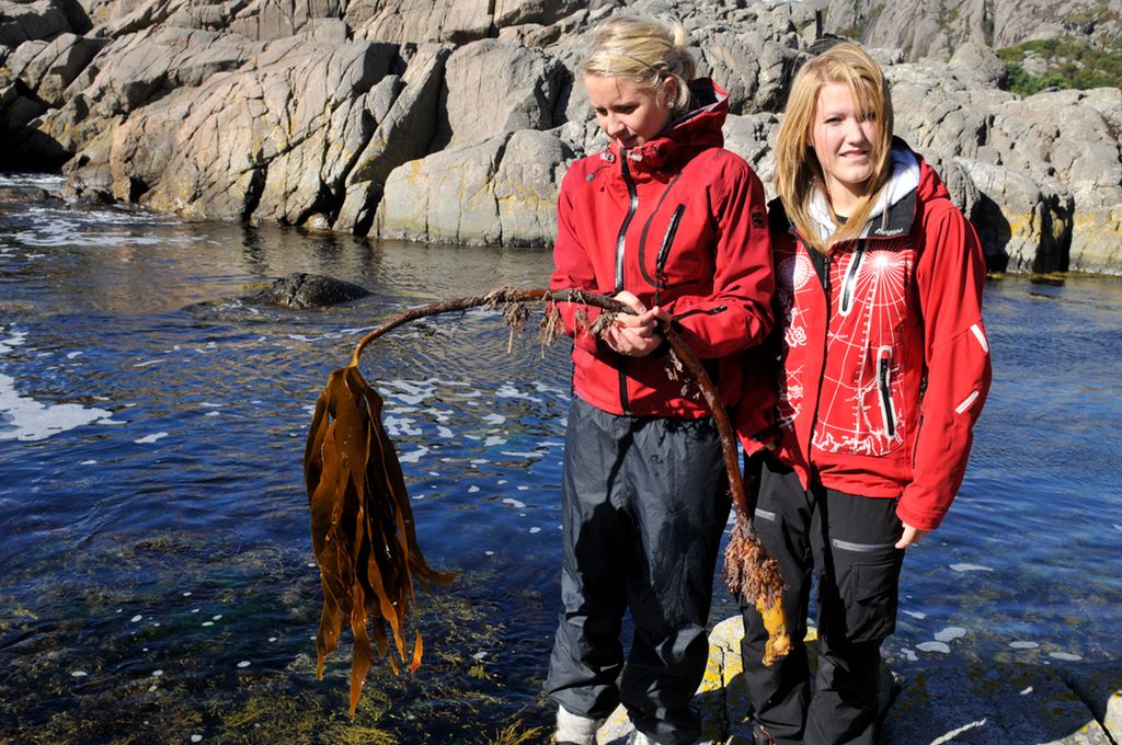 To jenter i fjæra. Den ene holder en stilk med fingertare. Foto.