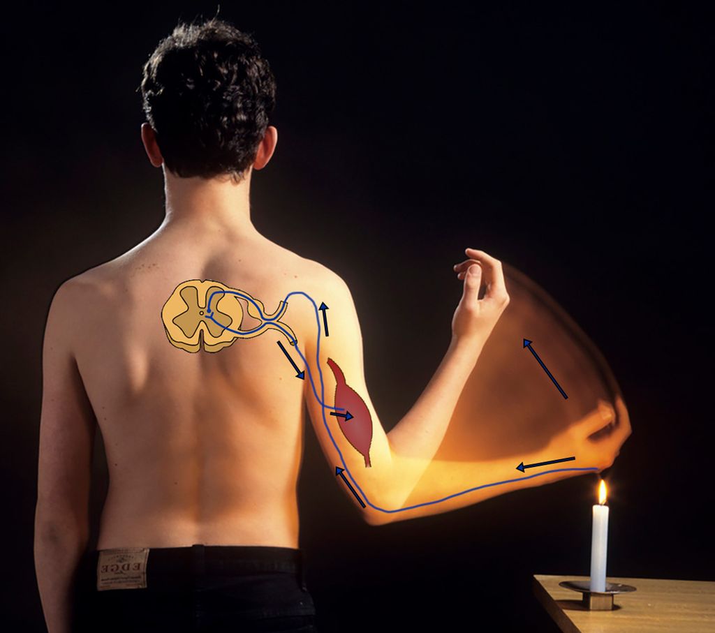 Foto av gutt som rykker hånda bort fra en varm flamme