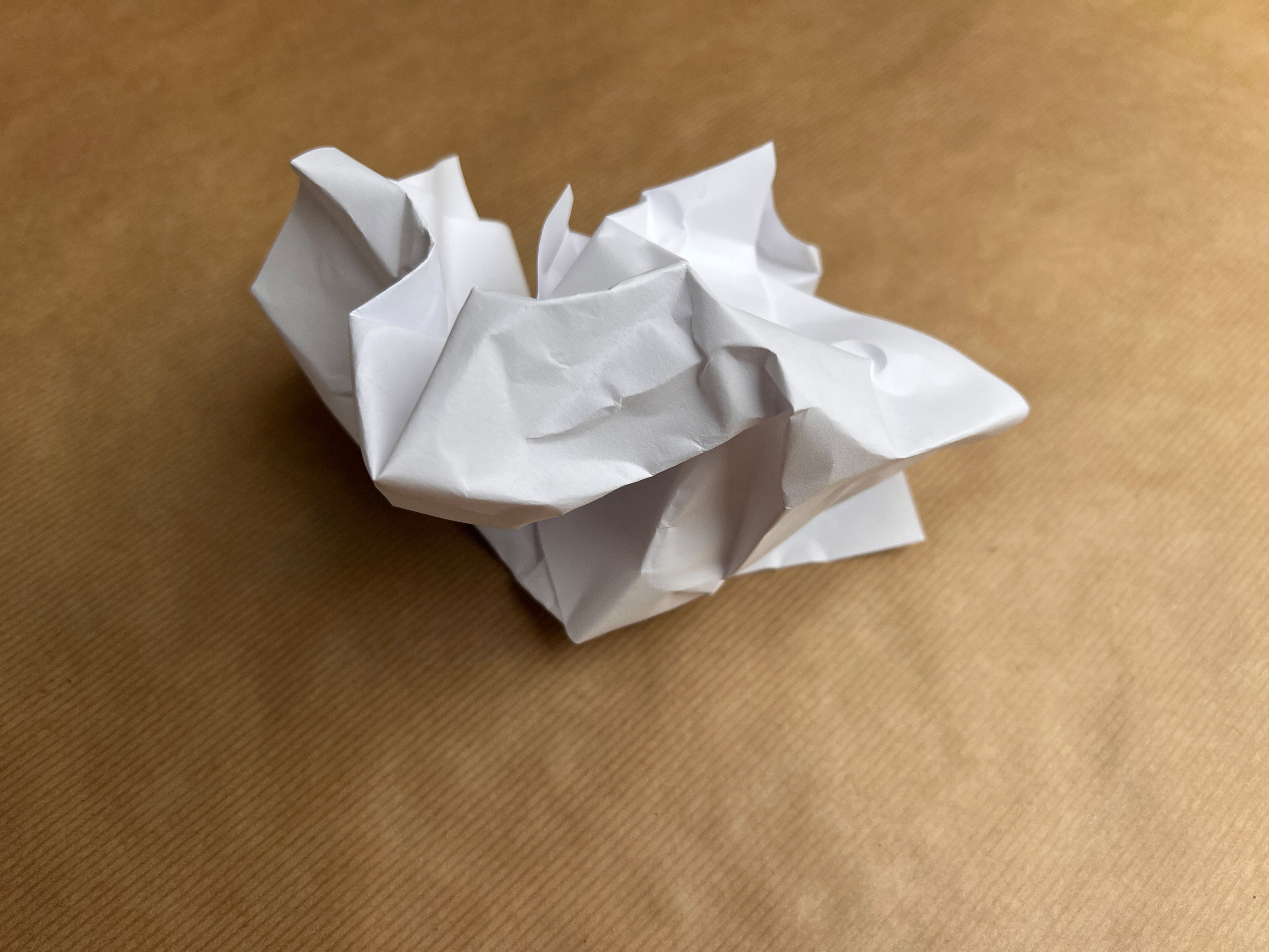 Eit samankrølla papir. Foto.