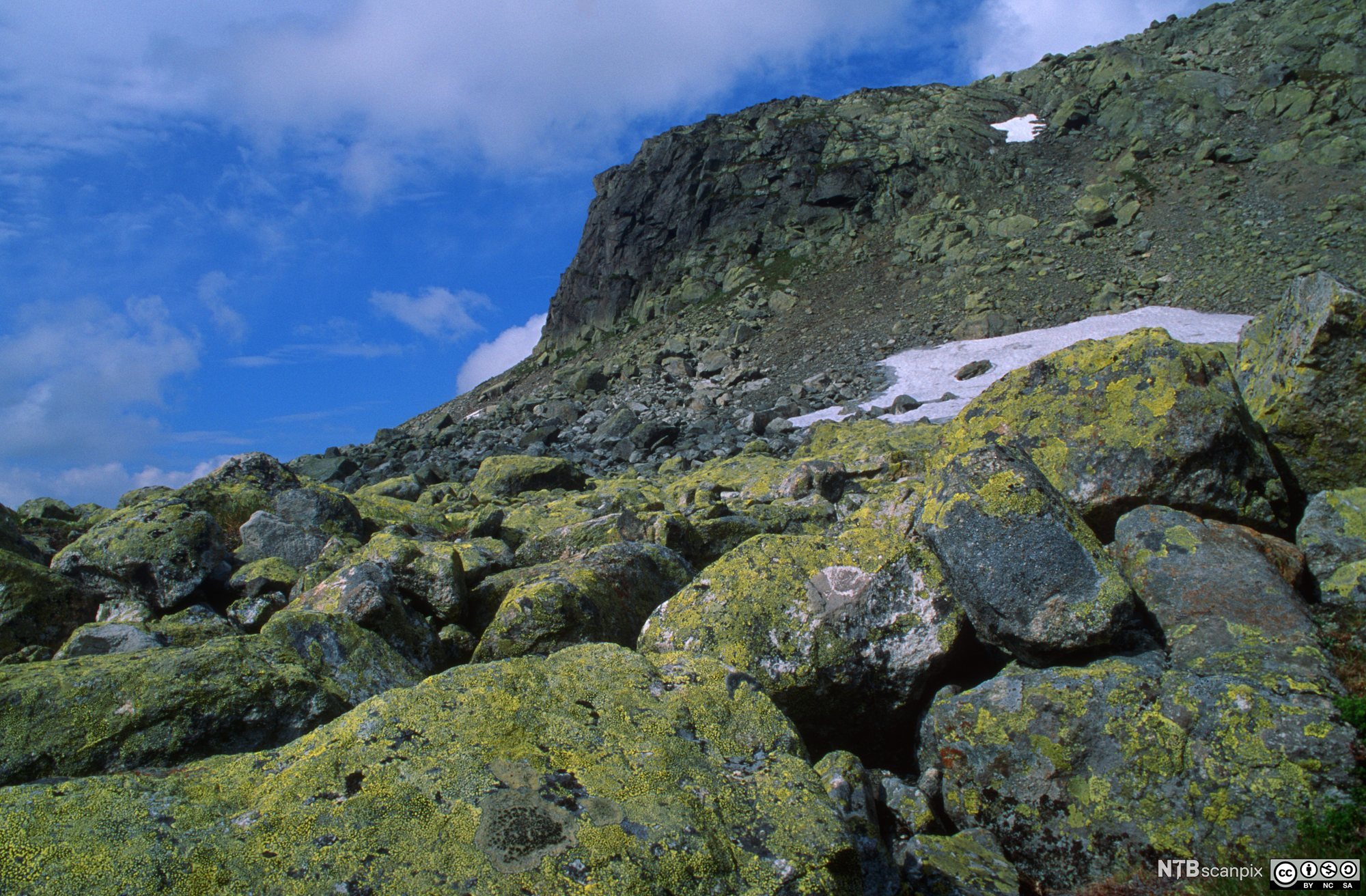 Fjellandskap med steinur. Foto.