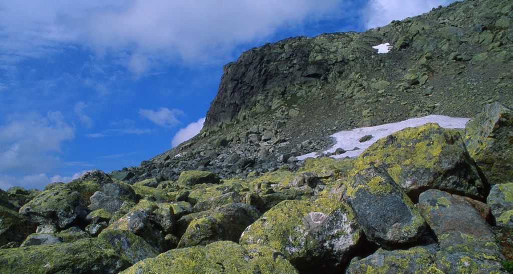 Fjellandskap med steinur. Foto.