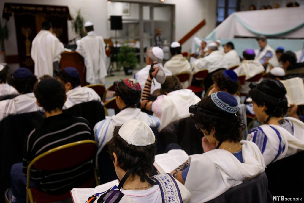 Katta vagina Dinozavrlar va odamlar aks etgan porno multfilmlar onlayn