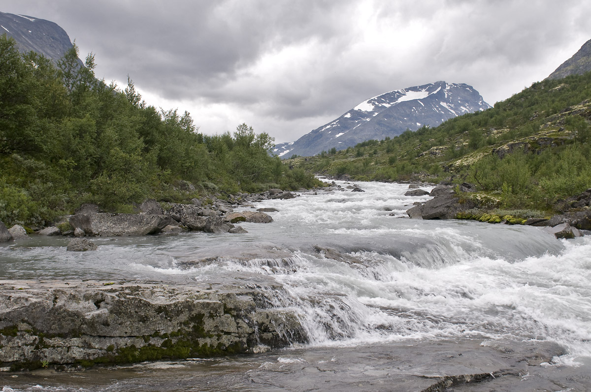 Elv som går i fossar og stryk i fjellandskap. Foto.
