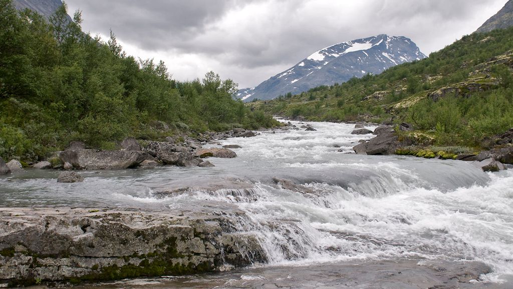 Elv som går i fossar og stryk i fjellandskap. Foto.