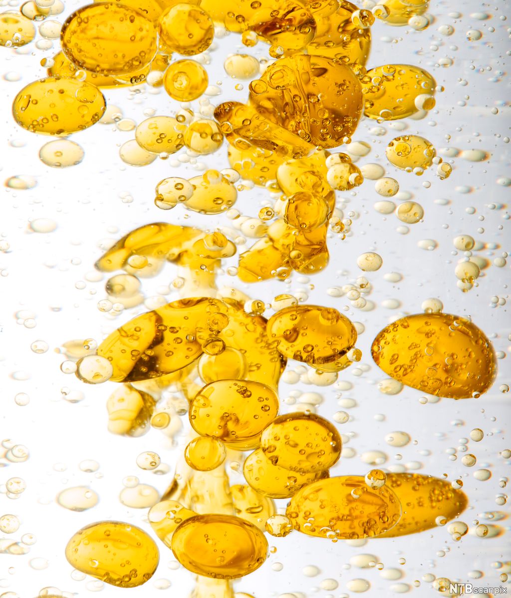 Små og store, oransje oljedråper flyter rundt i vann. Foto.