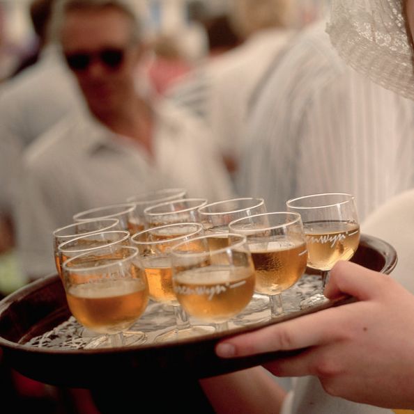 En servitør holder et brett med genever. Foto.