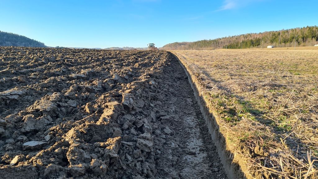 På ene delen av bildet er jorda pløyd. På den andre delen er det rester etter kulturvekster. Foto.