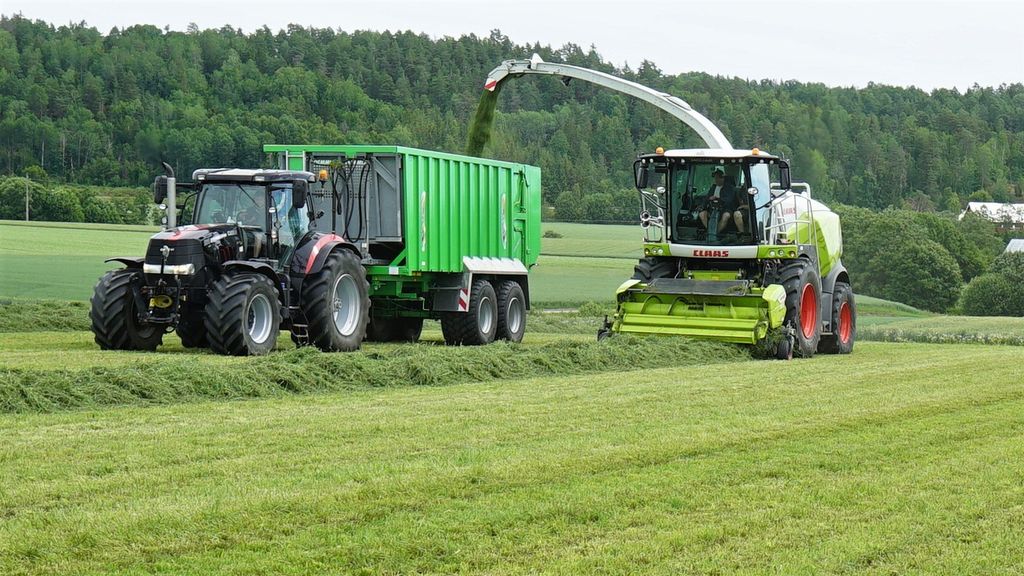 Selvgående snitter som plukker opp graset fra jordet. Graset sprøytes over i en henger på en traktor ved sida av finsnitteren. Foto.
