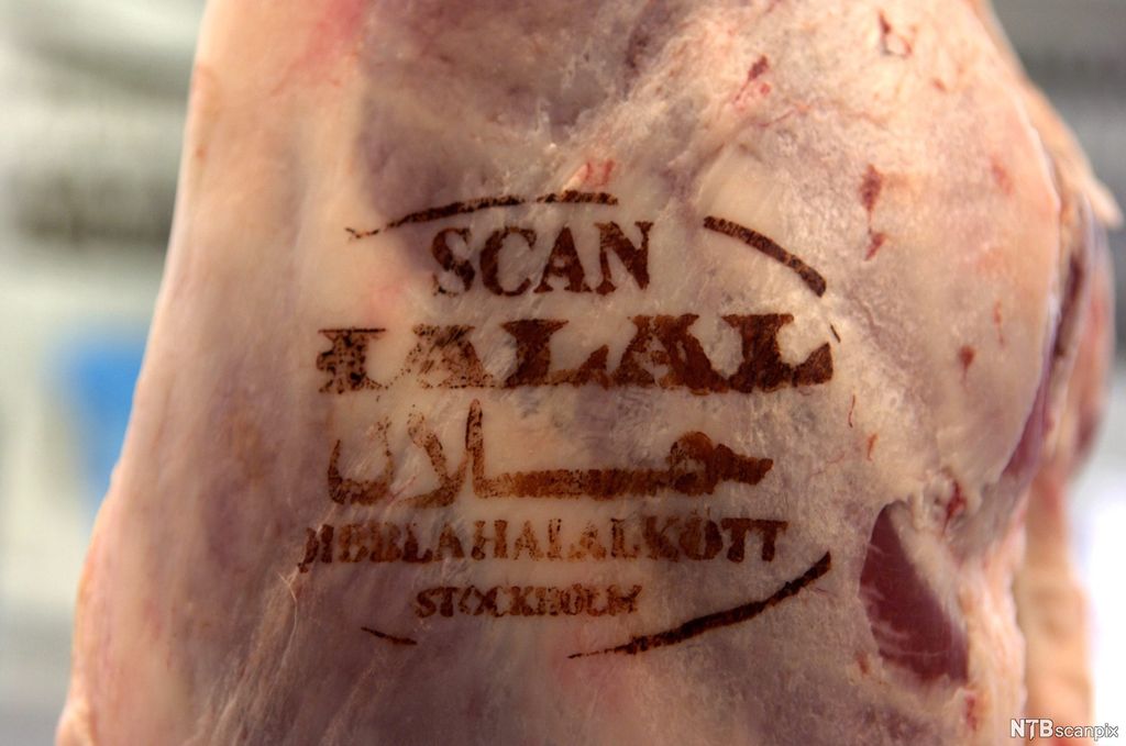 Et stort kjøttstykke merket som halalkjøtt på skinnet. Foto.