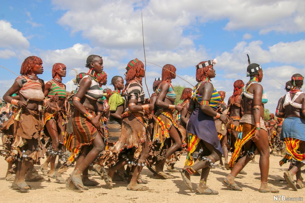Ei gruppe frå hamerfolket i Etiopia framfører ein stammedans. Foto. 