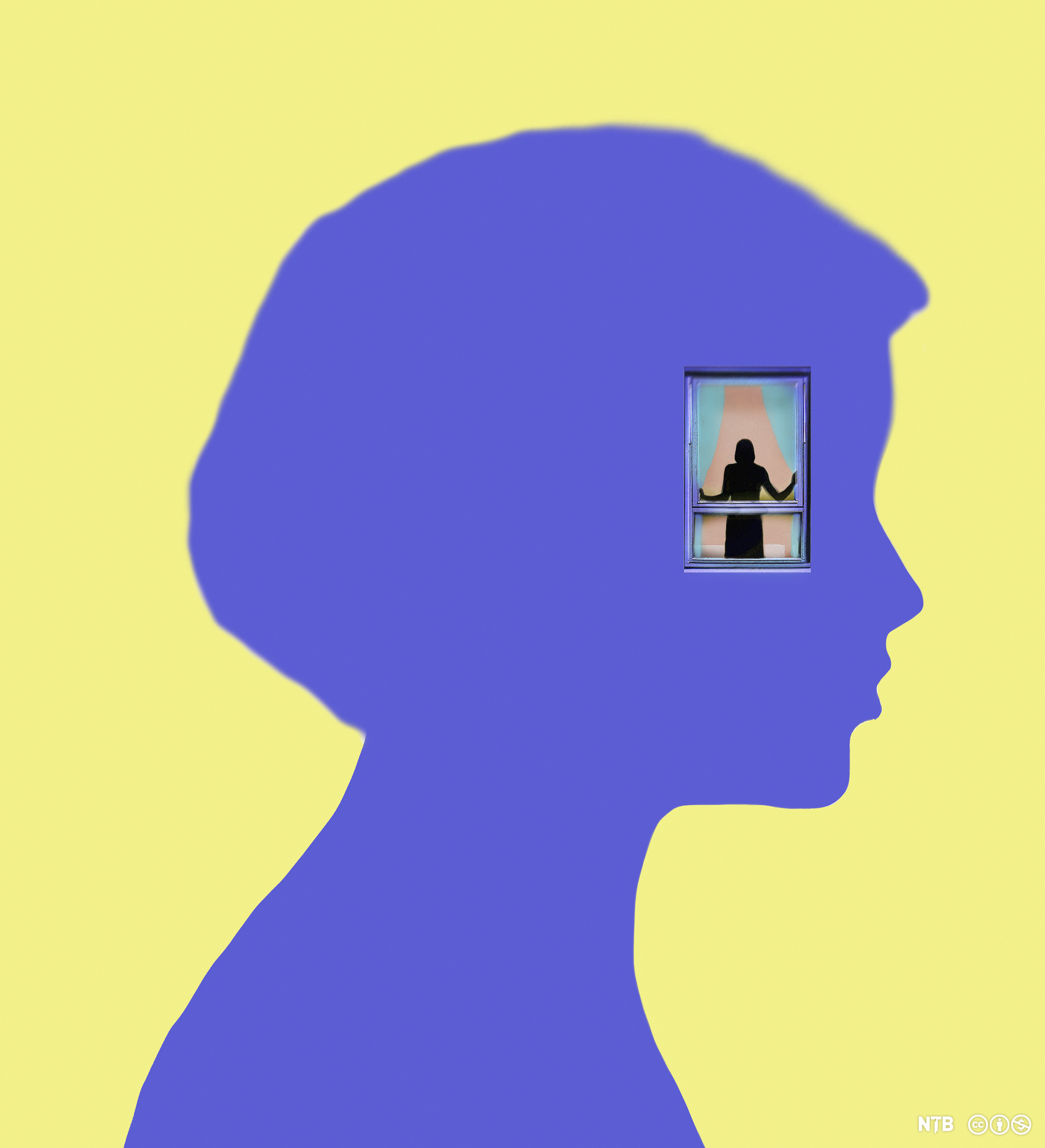 Illustration: We see the profile of a woman in blue. In her head is a dark figure of a woman standing at a window. 