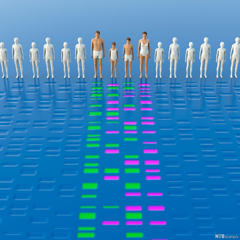 DNA-suorbmasadji eatnis, áhčis ja guovtti mánás. Illustrašuvdna. 