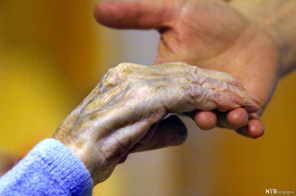 Ung hånd holder gammel hånd. Foto.