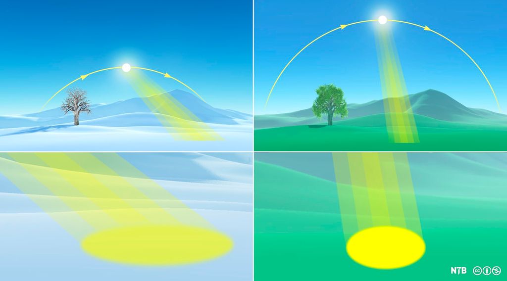 Vinter- og sommerlandskap der sola står i ulik høyde over horisonten. Solstrålene er markert med gule streker, og området på jordoverflaten som treffes av solstråler, er tegnet som en gul oval og en gul sirkel. Illustrasjon.