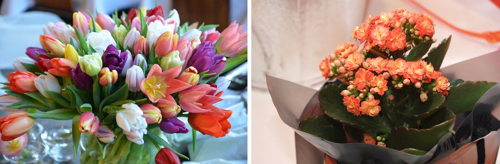 To bilder, et av tulipaner i mange farger i en vase og et av en ildtopp i rosa og gult. Foto.