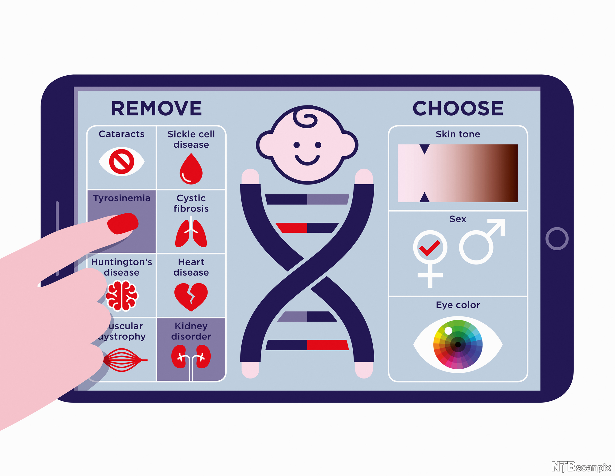 Illustrašuvdna šearbmagovas movt sáhttá válljet eret iešvuođaid, ovdamearkka dihte árbbálaš dávddaid.