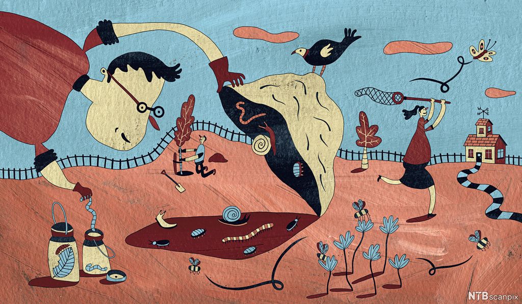 Barn leker og lærer ute. Illustrasjon.