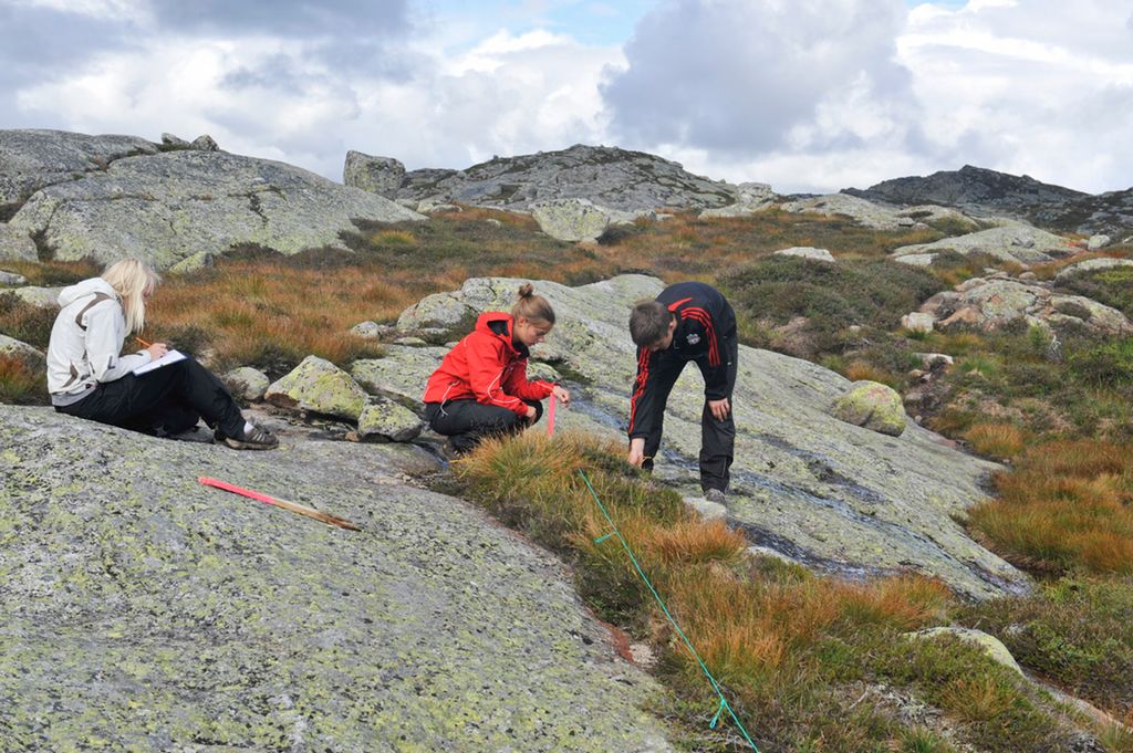 Elever gjør undersøkelser i fjellet. Foto