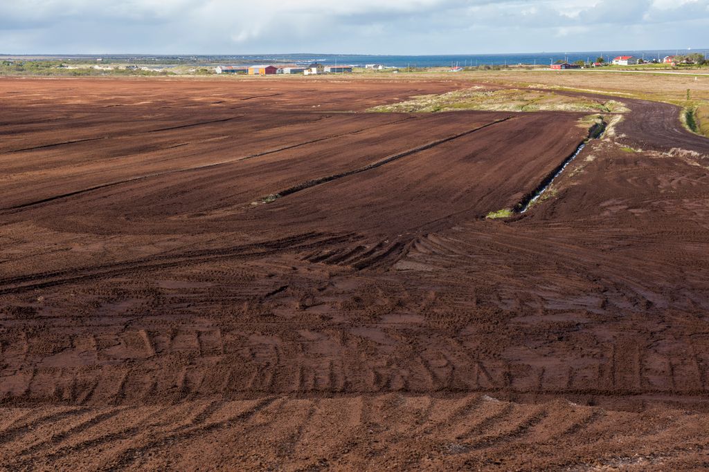 Kulturlandskap som er ferdig høstet med kun den brune jorda synlig. Foto.