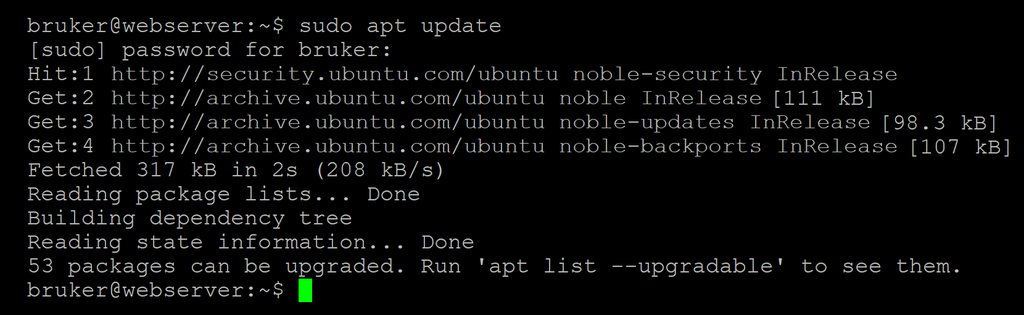 Skjermbilde som viser at kommandoen "sudo apt update" blir kjørt. Det vises så flere linjer med tekst som beskriver framgangen i oppdateringssøket før en sluttmelding sier at det er 53 pakker som kan oppdateres. Skjermbilde
