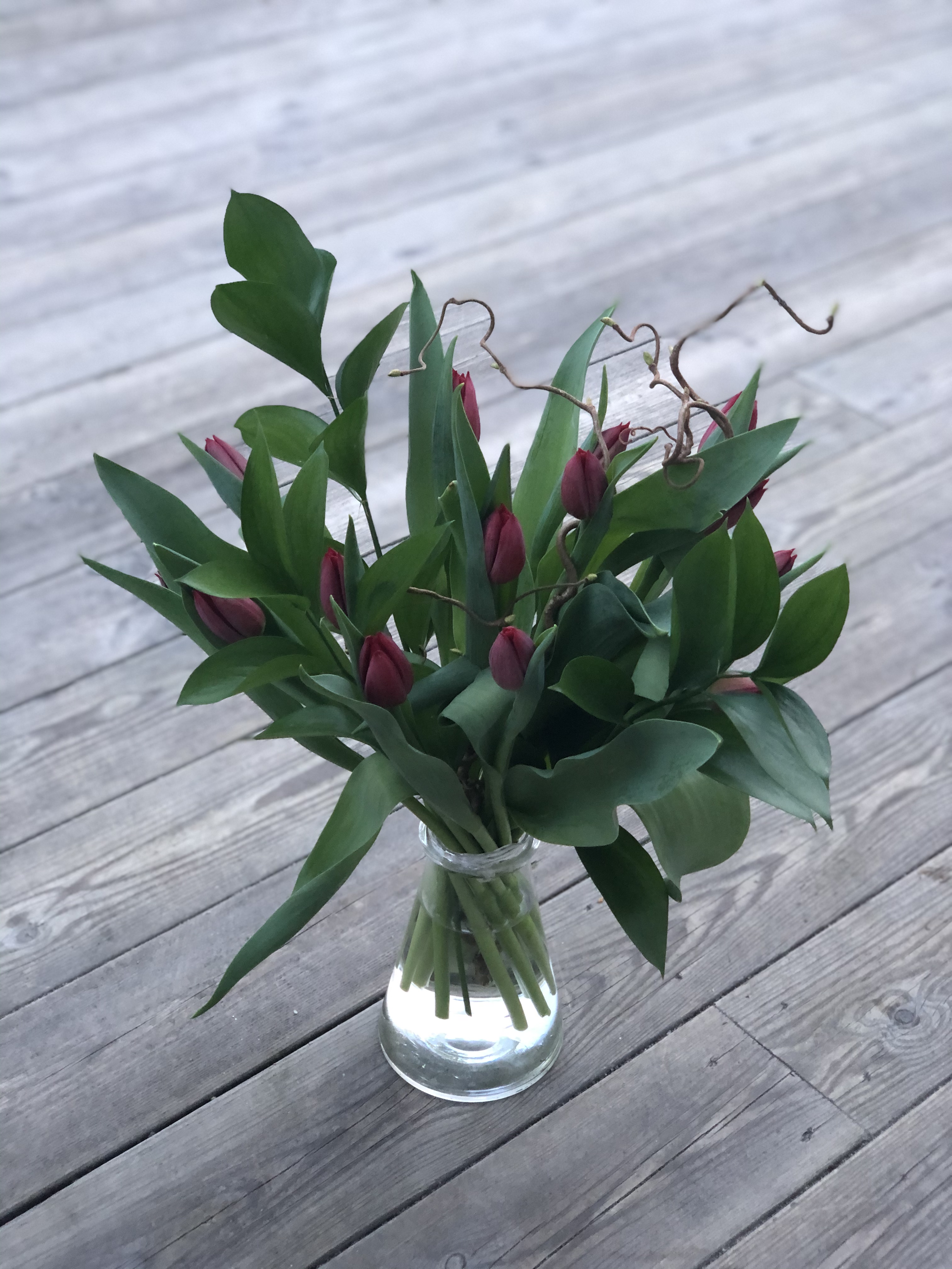 Tulipaner med staffasje i vase. Foto. 