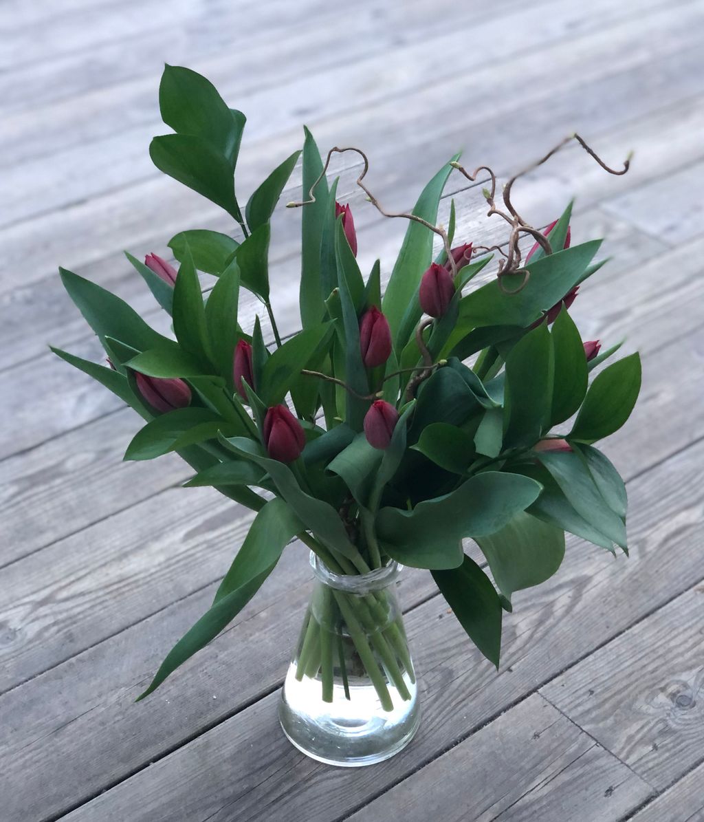 Tulipaner med staffasje i vase. Foto.
