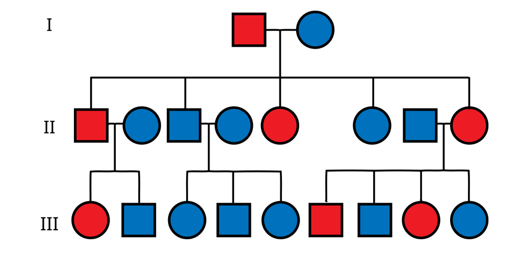 Stamtavle som viser arvelighet av en sykdom over tre generasjoner. En syk mann får barn med en frisk kvinne. De får en syk sønn som får barn, en syk datter og en frisk sønn, med en frisk kvinne. De får en frisk sønn, som får friske sønner og døtre med en frisk kvinne. De får en syk datter som får en syk og en frisk sønn og en syk og en frisk datter, med en frisk mann. De får en syk og en frisk datter som ikke får barn. Illustrasjon.