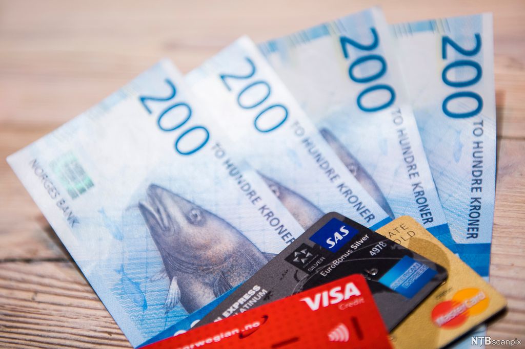 Fire tohundrelapper og en rekke kredittkort. Foto. 