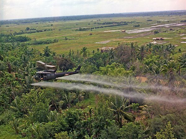 Giftdusjen fra helikopteret syns som et tynt, grått lag over den frodige, grønne tropeskogen. Foto.