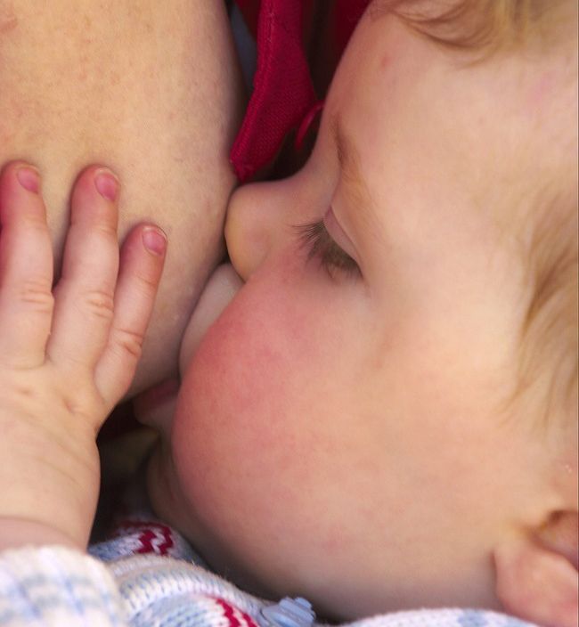 Eit barn dier. Foto.