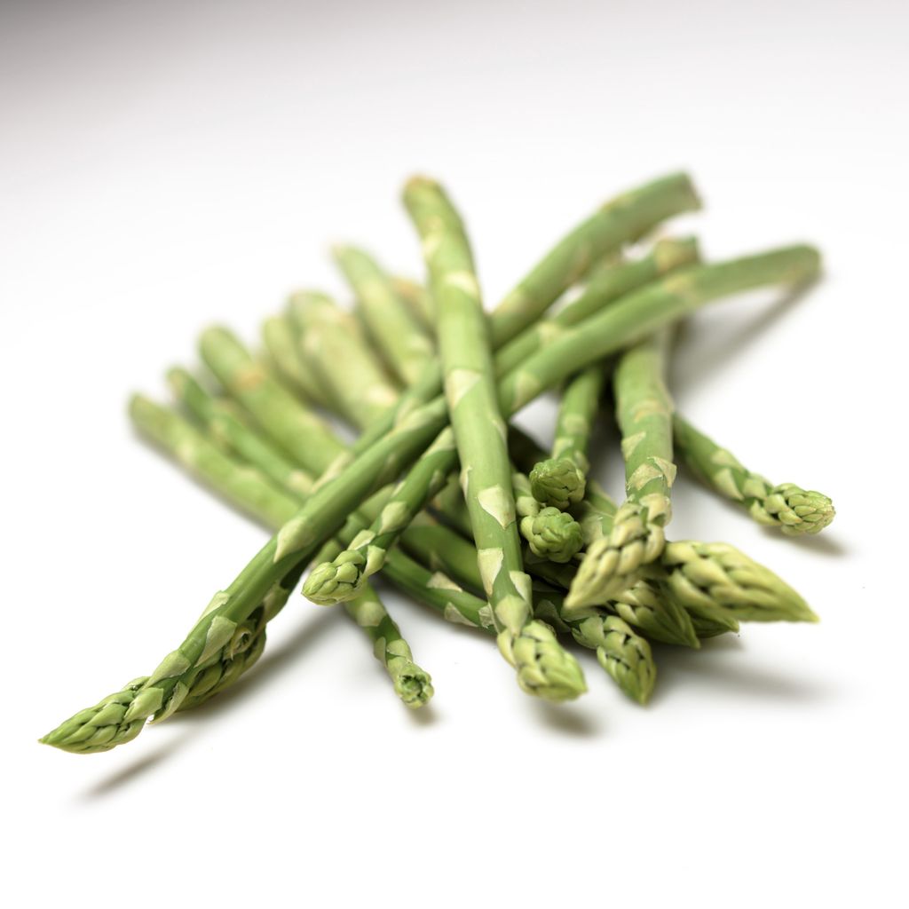 Haug grønn asparges mot hvit bakgrunn. Foto.
