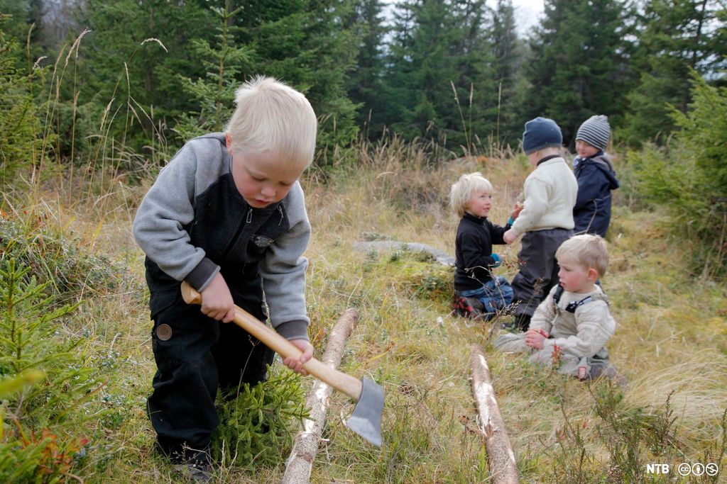 En liten gutt med øks hogger på en staur ute i skogen. I bakgrunnen sitter flere små barn sammen. Foto. 