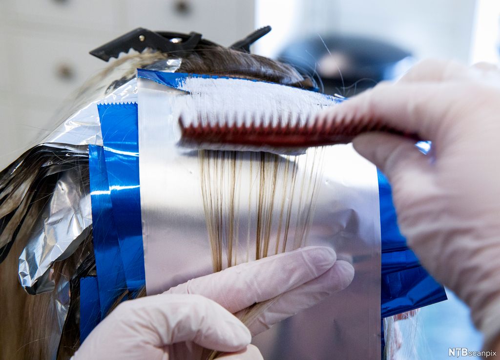 Bleking av hår hos frisør. Foto.