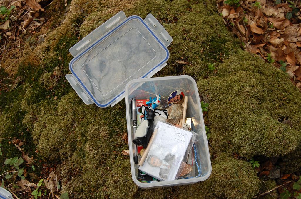 Åpen plastboks med diverse små gjenstander oppi. Foto.