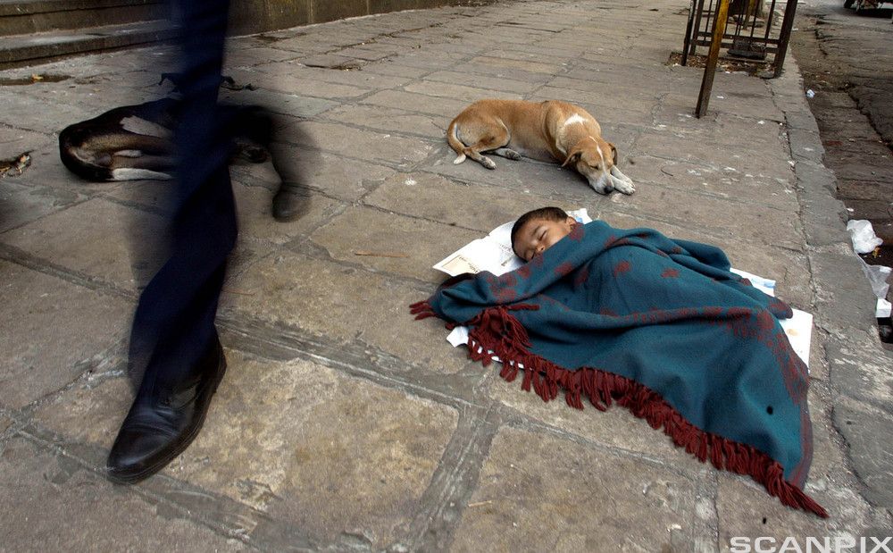 Barn som sover på gaten i Bombay. Foto.
