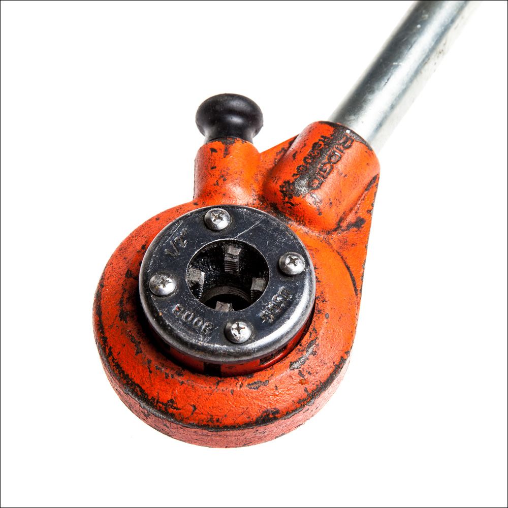 Gjengeskralle. Foto.