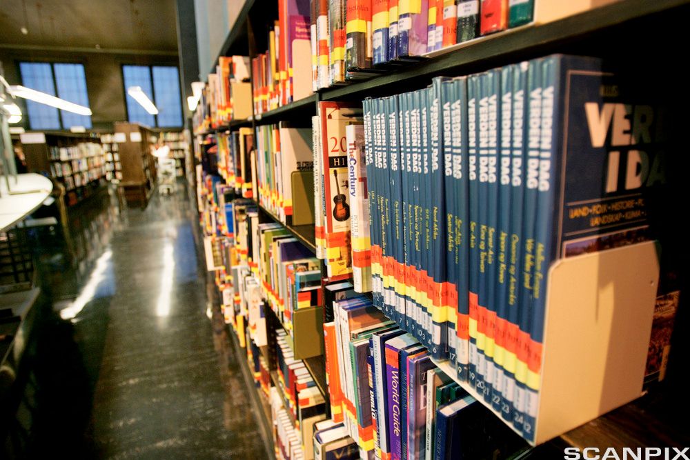 Inside a library. Photo.