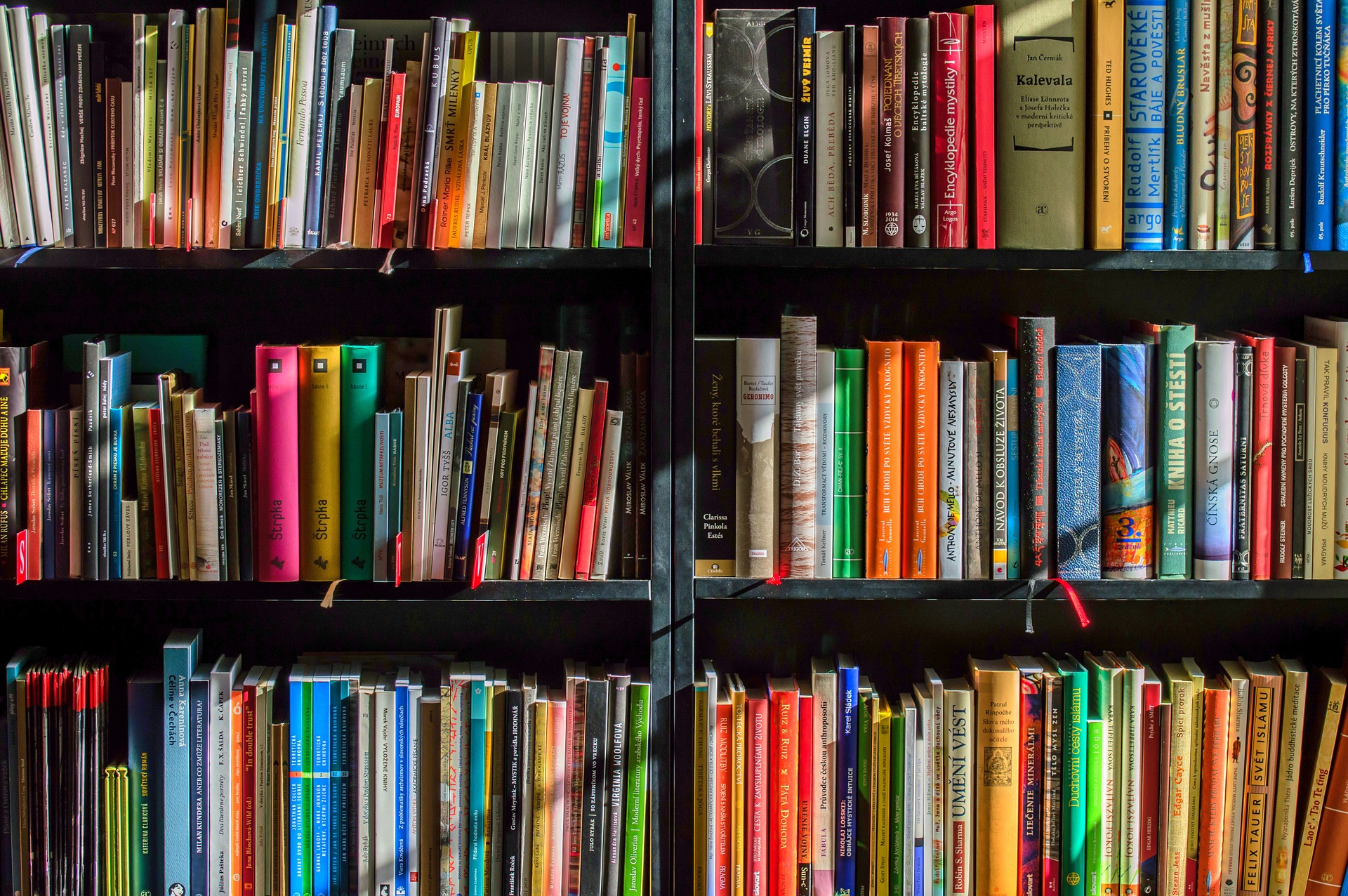 A book shelf, a wall of books. Photo.