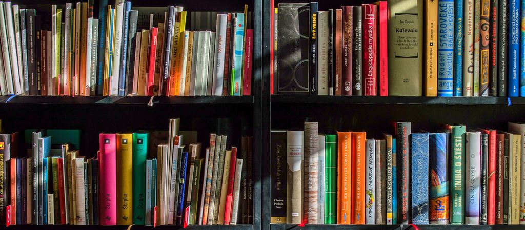 A book shelf, a wall of books. Photo.