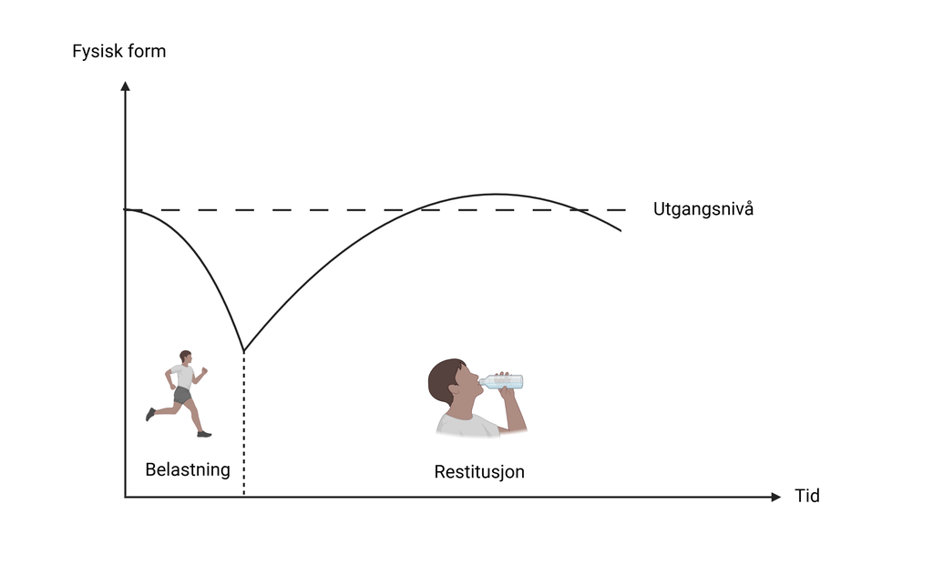 Graf som viser korleis forma blir broten ned ved belastning, for så å bygge seg opp igjen ved restitusjon til eit nivå som er høgare enn utgangsnivået. Illustrasjon.