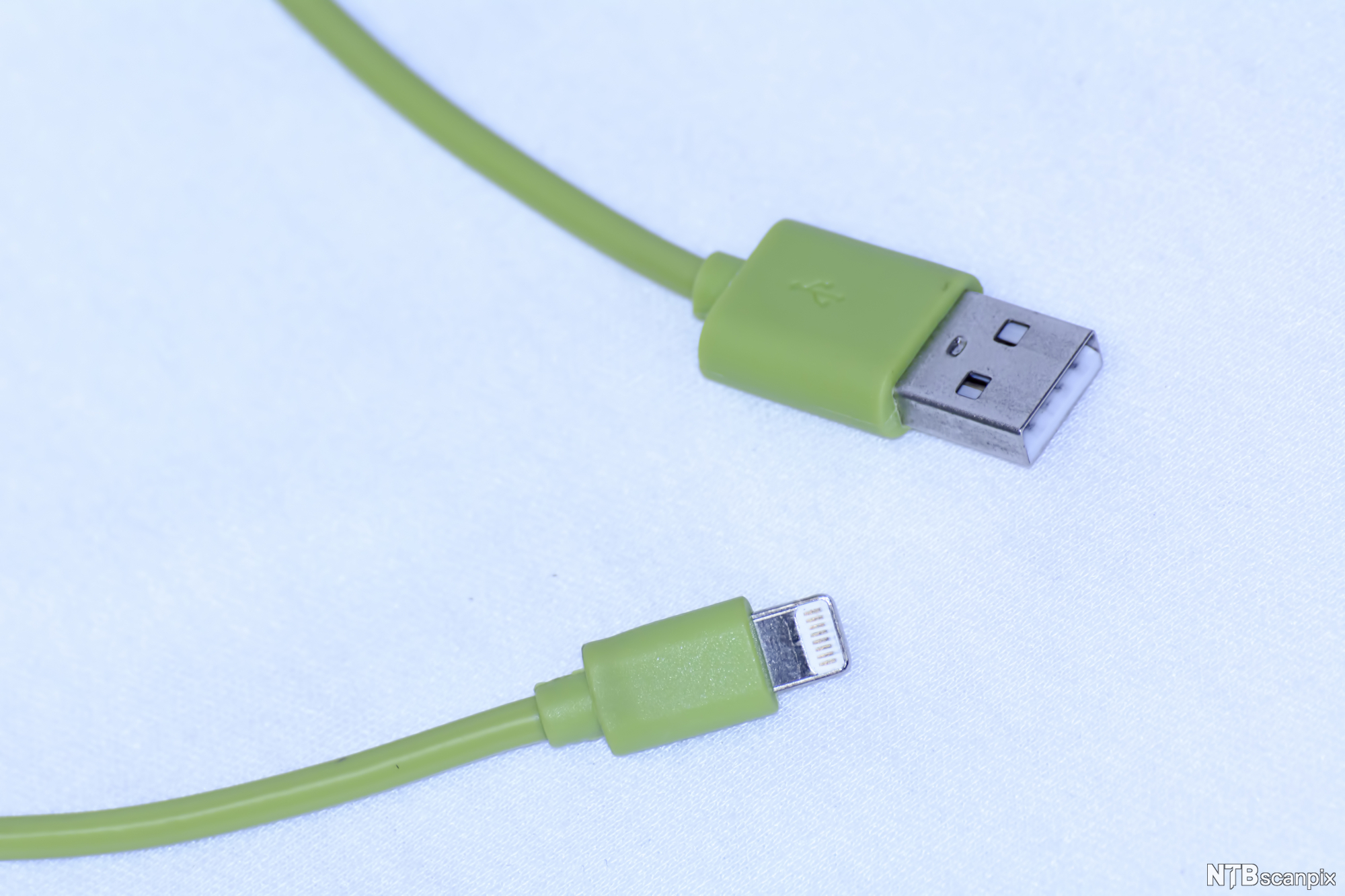 Grønn USB type A han kontakt. Foto