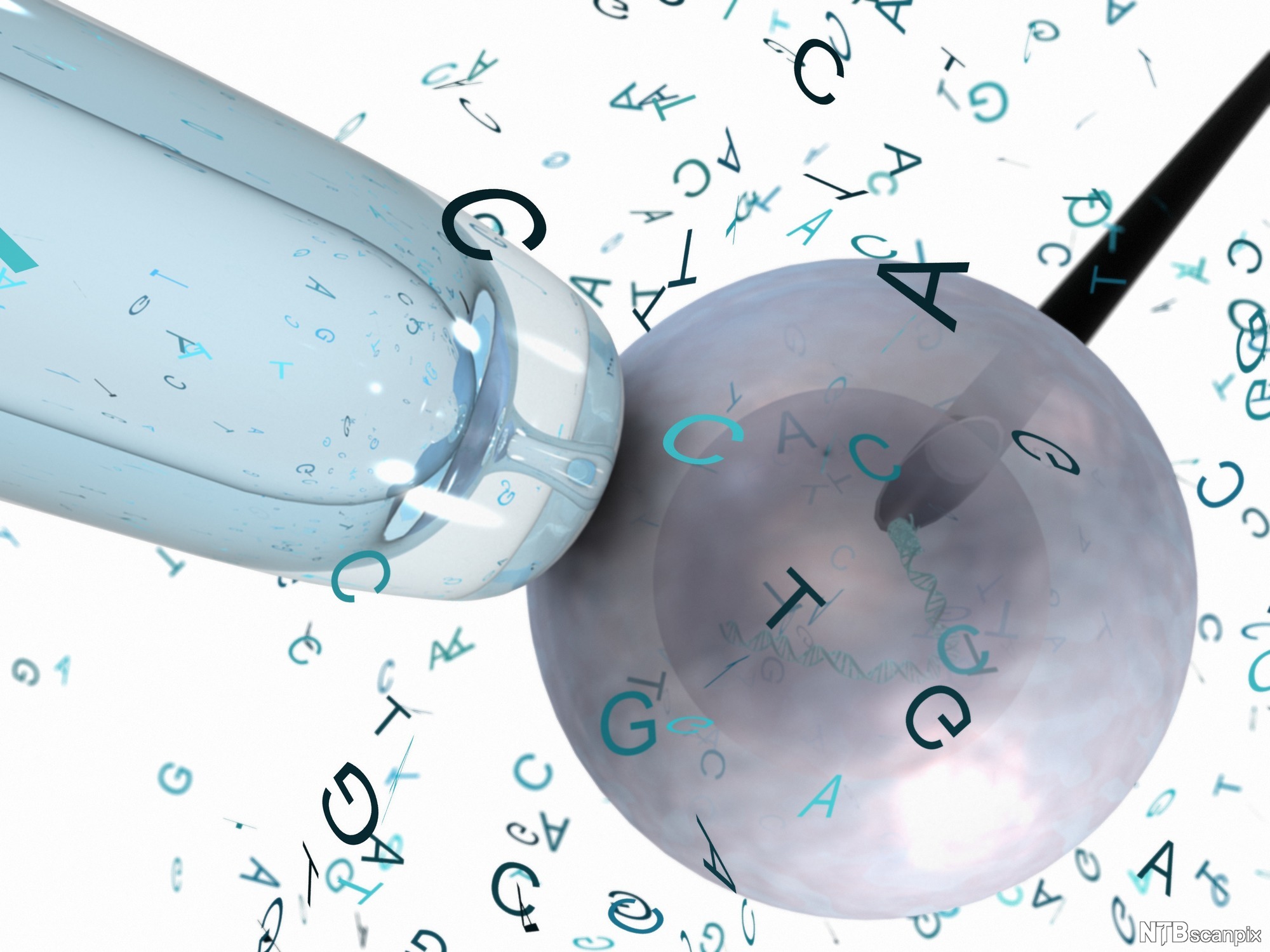 Genaid rievdadeapmi IVF bokte. Illustrašuvdna.