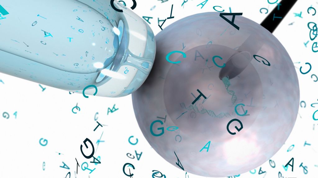 Genaid rievdadeapmi IVF bokte. Illustrašuvdna.